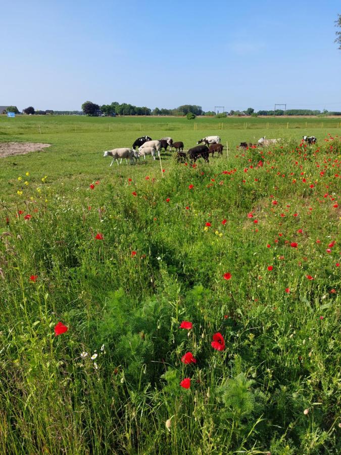 Boerderijkamer 'T Keukentje Wijhe Eksteriør bilde